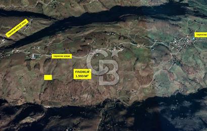 SAKARYA AKYAZIDA 1.593 M² SATILIK ARSA FINDIKLIK