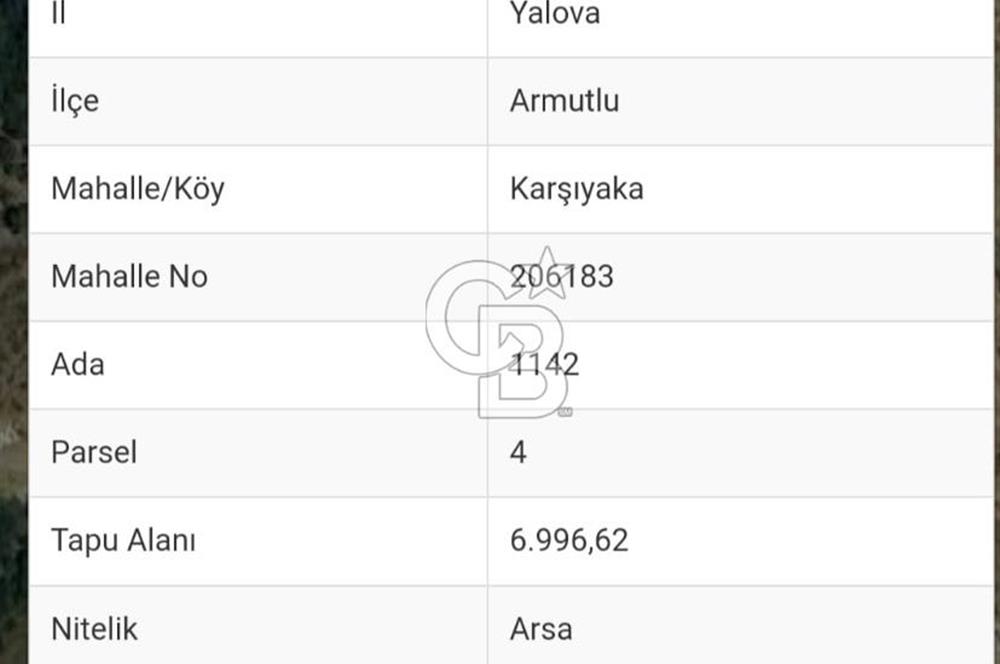 YALOVA ARMUTLU SATILIK ARSA !.. 6996 M2