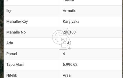 YALOVA ARMUTLU SATILIK ARSA !.. 6996 M2