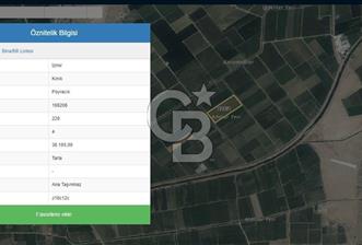İZMİR KINIK POYRACIKTA 38.165 M2 SATILIK TARLA