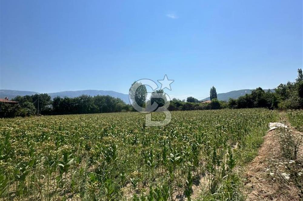 Muğla Karabağlar Yaylasında Satılık İmarlı Tarla