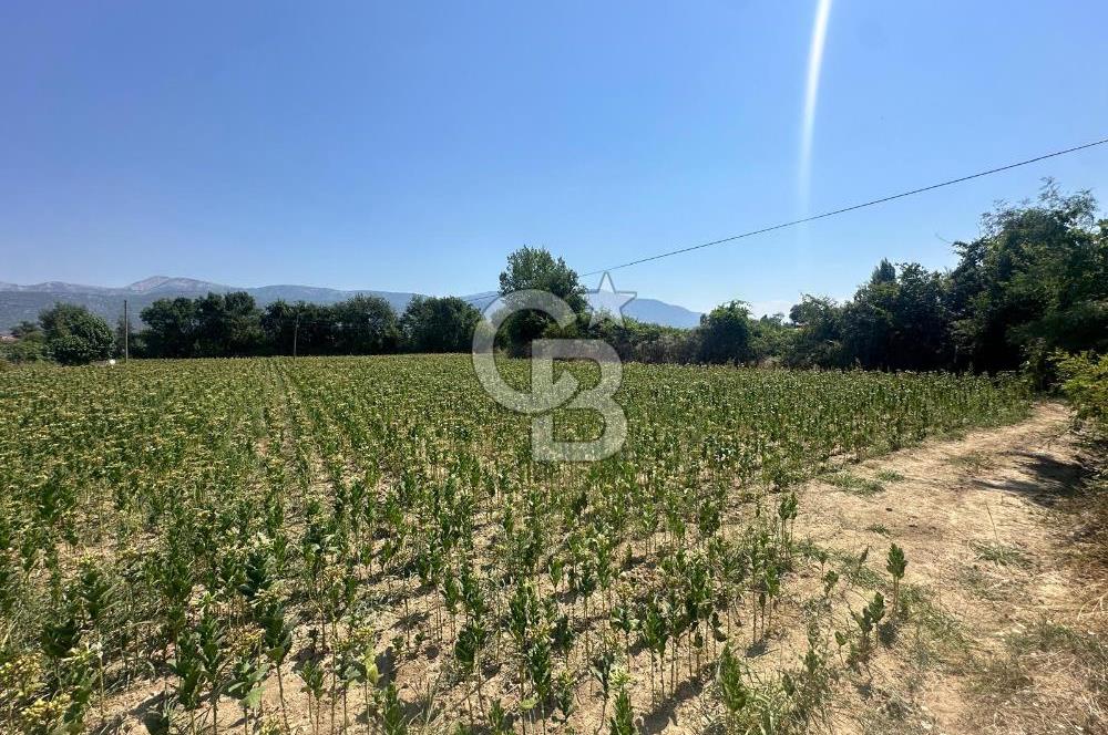 Muğla Karabağlar Yaylasında Satılık İmarlı Tarla