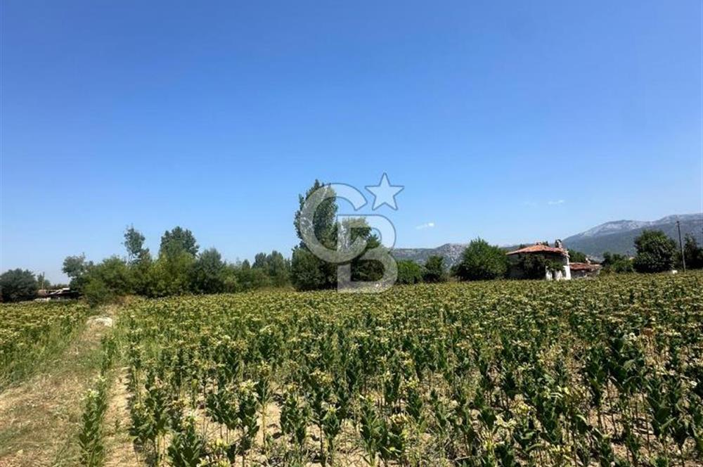 Muğla Karabağlar Yaylasında Satılık İmarlı Tarla