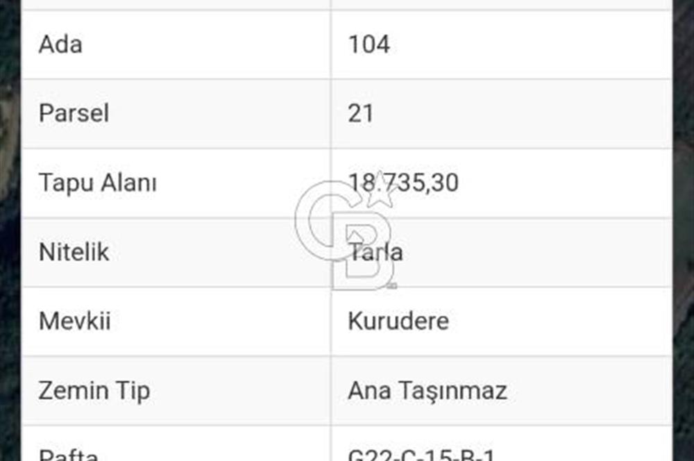 Yalova Altınova Karadere Köyünde Satılık Fırsat Arazi!