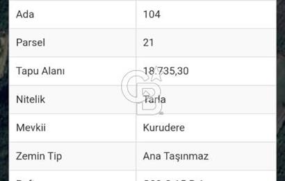 Yalova Altınova Karadere Köyünde Satılık Fırsat Arazi!