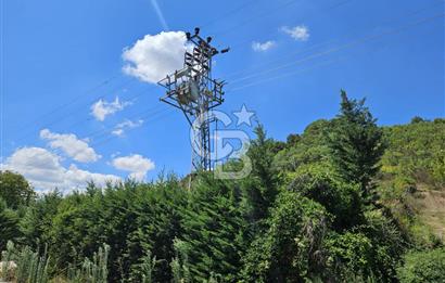 Yalova Altınova Karadere Köyünde Satılık Fırsat Arazi!