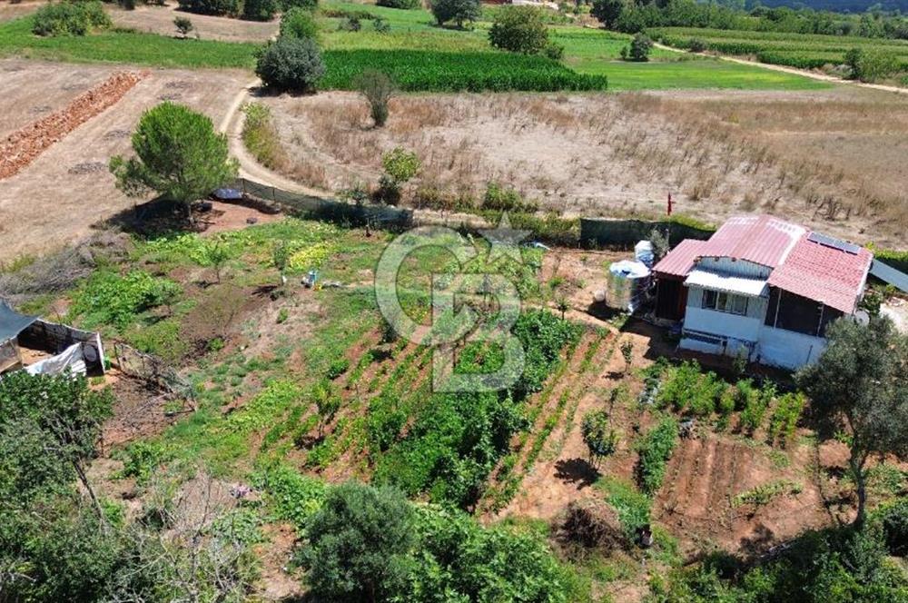 LAPSEKİ DİŞBUDAK KÖYÜNDE SATILIK HOBİ BAHÇESİ.