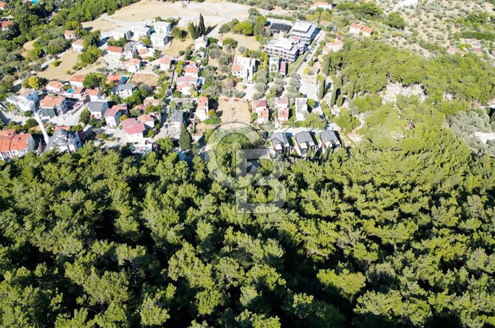 Urla Güvendik’te Full Deniz Manzaralı Tarla 3363,50 m