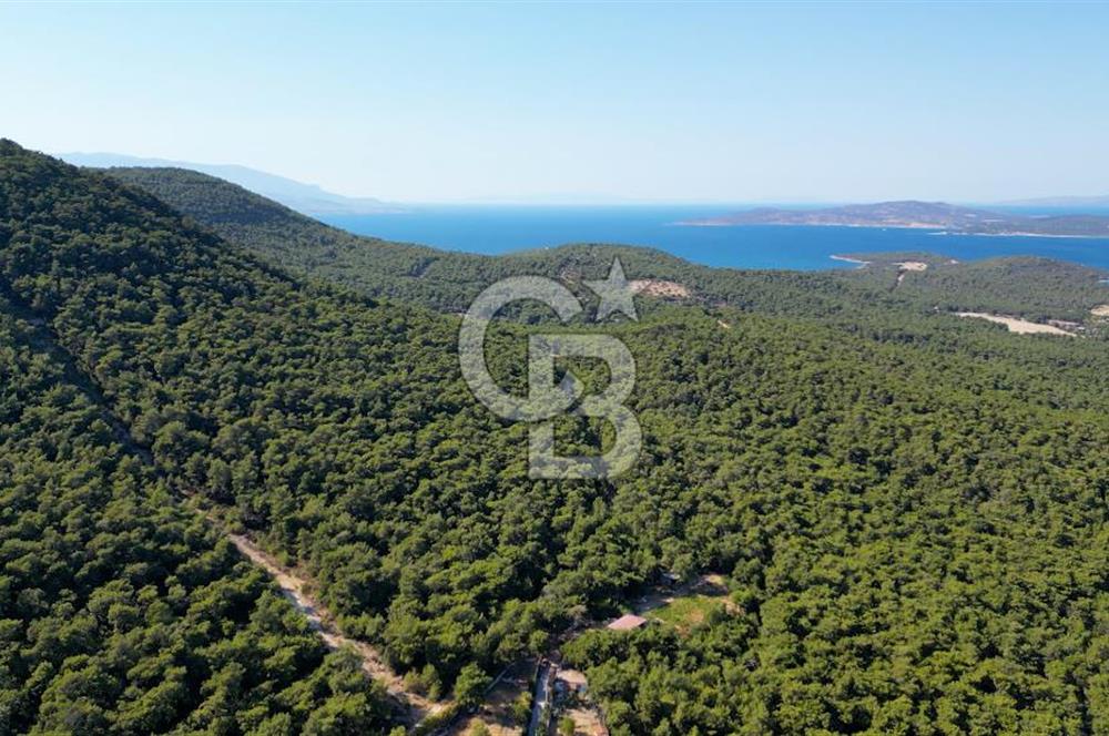 Urla Güvendik’te Full Deniz Manzaralı Tarla 3363,50 m