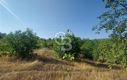 Yerkesik Yeniköy Mahallesinde İçerisinde Ev Bulunan Satılık Tarla