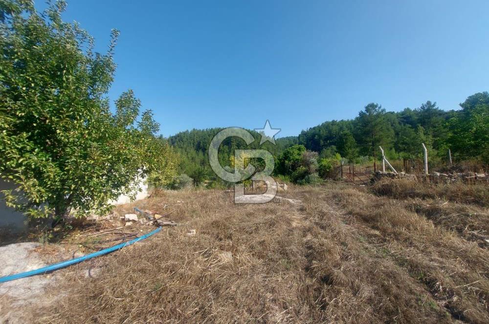 Yerkesik Yeniköy Mahallesinde İçerisinde Ev Bulunan Satılık Tarla