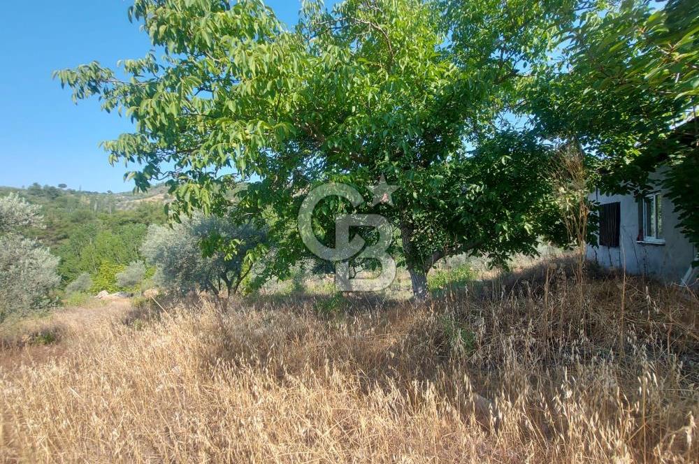 Yerkesik Yeniköy Mahallesinde İçerisinde Ev Bulunan Satılık Tarla