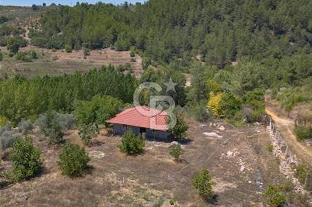 Yerkesik Yeniköy Mahallesinde İçerisinde Ev Bulunan Satılık Tarla