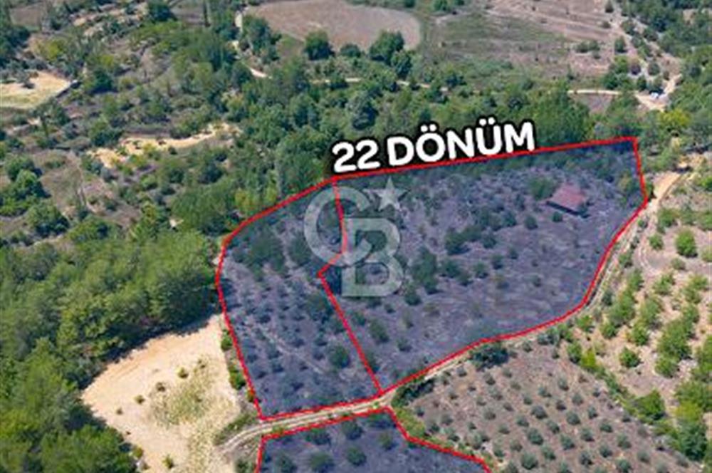 Yerkesik Yeniköy Mahallesinde Satılık 5277m2 Satılık Tarla 