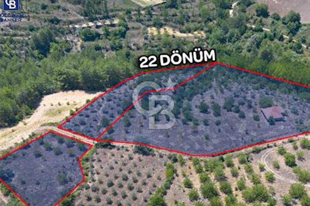 Yerkesik Yeniköy Mahallesinde Satılık 5277m2 Satılık Tarla 