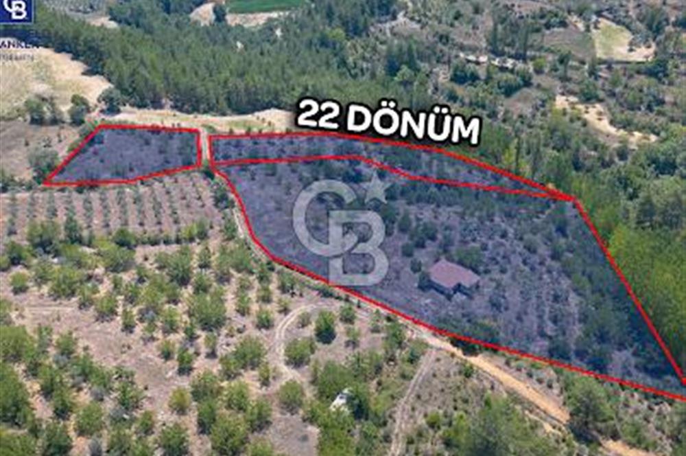 Yerkesik Yeniköy Mahallesinde Satılık 5277m2 Satılık Tarla 