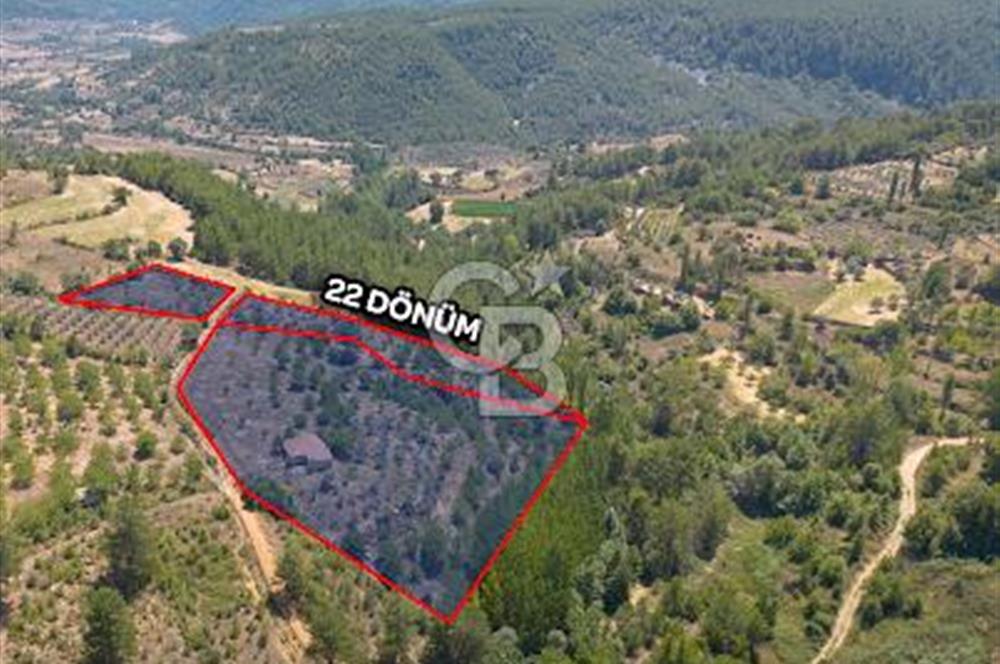 Yerkesik Yeniköy Mahallesinde Satılık 5277m2 Satılık Tarla 