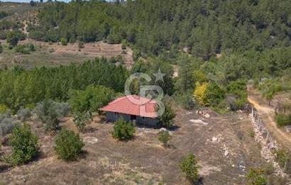 Yerkesik Yeniköy Mahallesinde İçerisinde Ev Bulunan Satılık Tarla