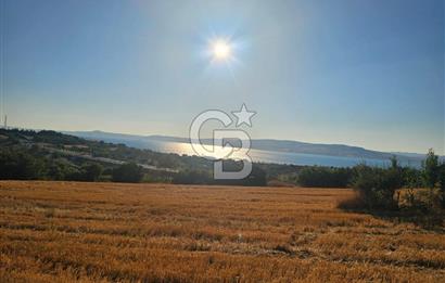 ÇANAKKALE LAPSEKİ SULUCA MEVKİİ DENİZ MANZARALI YATIRIMLIK TARLA