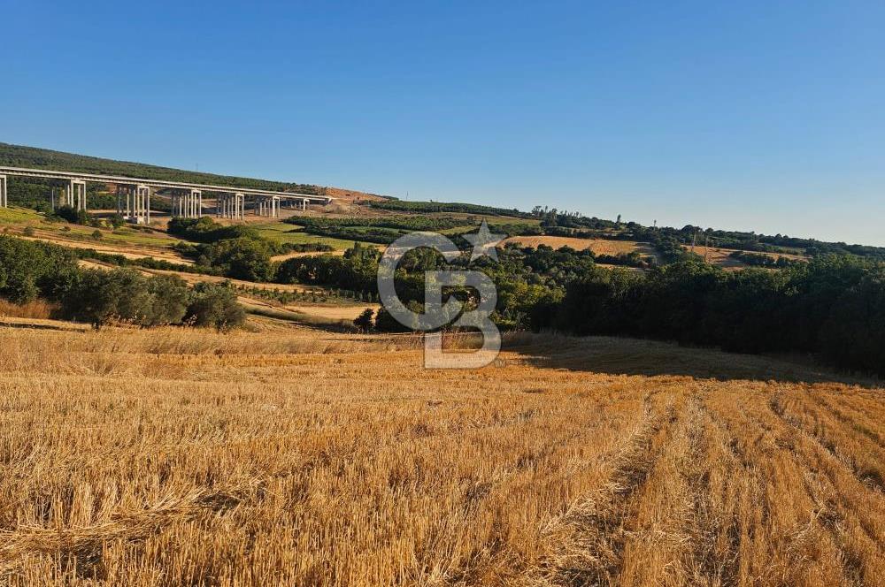 ÇANAKKALE LAPSEKİ SULUCA MEVKİİ DENİZ MANZARALI YATIRIMLIK TARLA