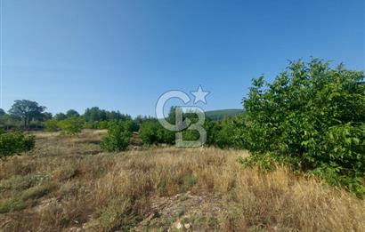 Yerkesik Yeniköy Mahallesinde İçerisinde Ev Bulunan Satılık Tarla