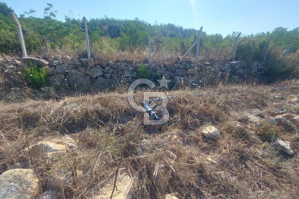 Yerkesik Yeniköy Mahallesinde İçerisinde Ev Bulunan Satılık Tarla