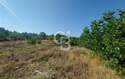 Yerkesik Yeniköy Mahallesinde İçerisinde Ev Bulunan Satılık Tarla