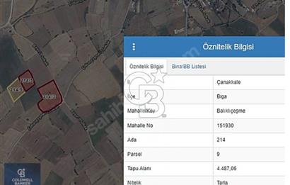 ÇANAKKALE BİGA BALIKLIÇEŞME SATILIK 4487 M2 TARLA