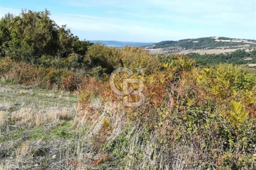 ÇANAKKALE KIZILKEÇİLİ 14.720 M2 DENİZ MANZARALI SATILIK TARLA