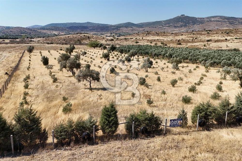 A single parcel of 7,739 m2 surrounded by land in Yeni Foça Fevzi Çakmak...