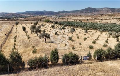 A single parcel of 7,739 m2 surrounded by land in Yeni Foça Fevzi Çakmak...