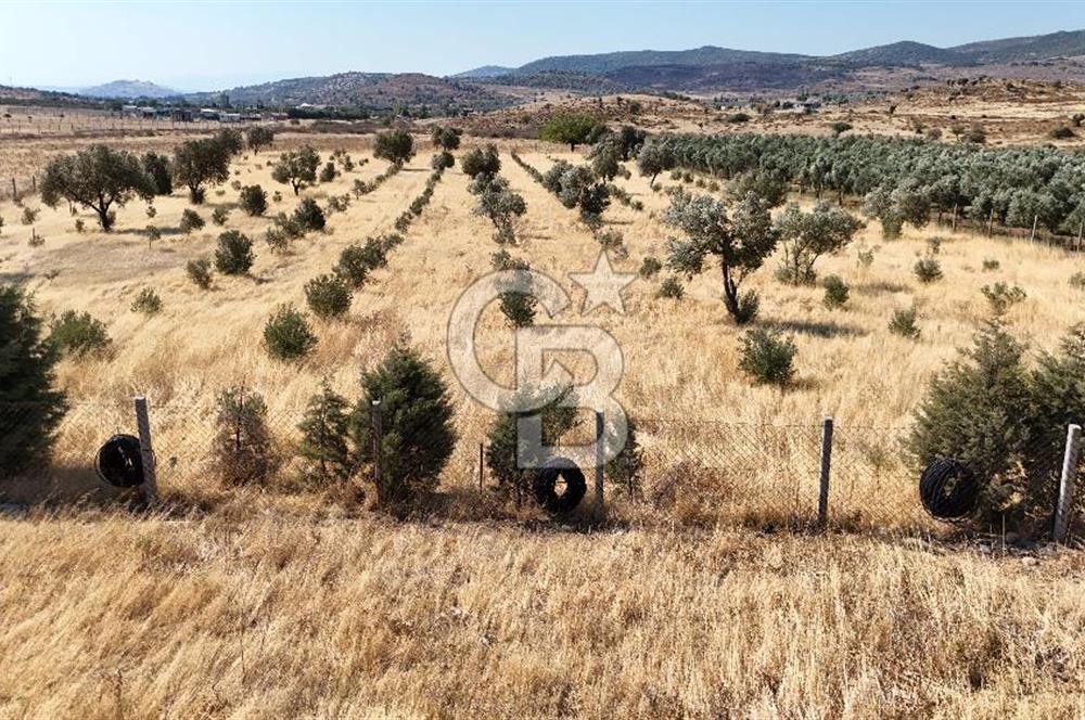 A single parcel of 7,739 m2 surrounded by land in Yeni Foça Fevzi Çakmak...