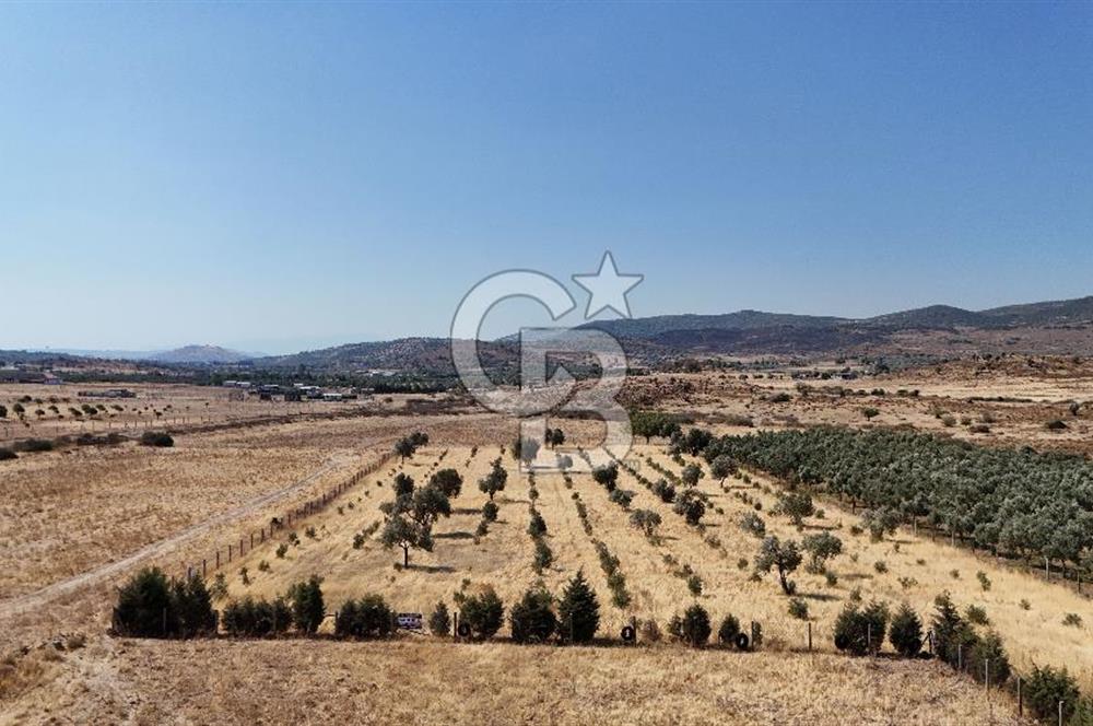 A single parcel of 7,739 m2 surrounded by land in Yeni Foça Fevzi Çakmak...