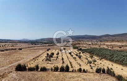 A single parcel of 7,739 m2 surrounded by land in Yeni Foça Fevzi Çakmak...