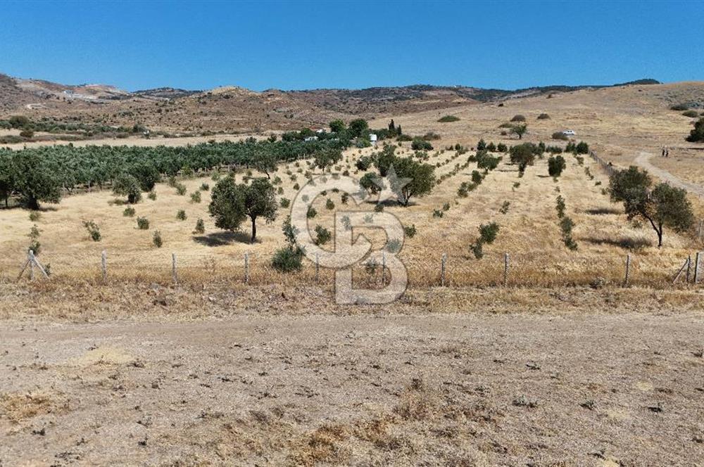 A single parcel of 7,739 m2 surrounded by land in Yeni Foça Fevzi Çakmak...