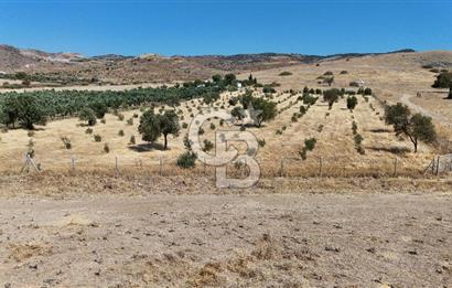 A single parcel of 7,739 m2 surrounded by land in Yeni Foça Fevzi Çakmak...