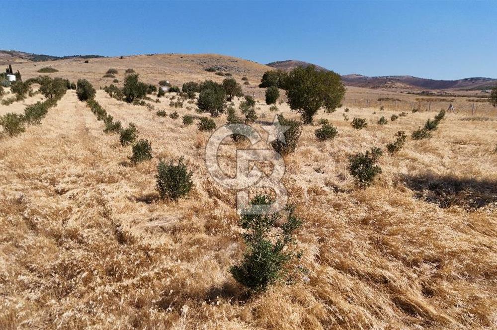 A single parcel of 7,739 m2 surrounded by land in Yeni Foça Fevzi Çakmak...