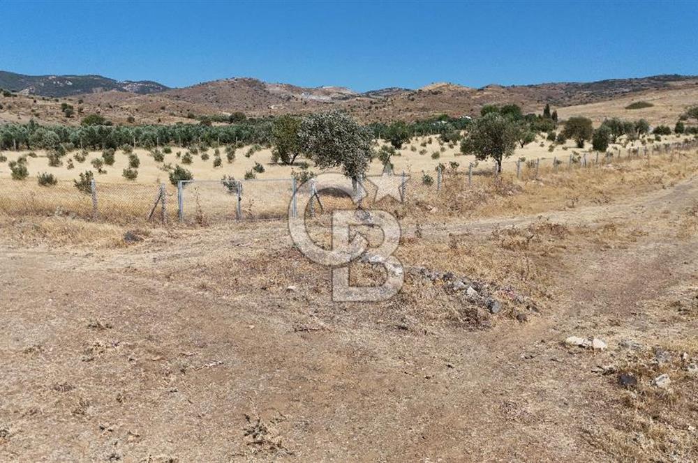 A single parcel of 7,739 m2 surrounded by land in Yeni Foça Fevzi Çakmak...