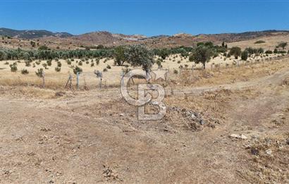 A single parcel of 7,739 m2 surrounded by land in Yeni Foça Fevzi Çakmak...