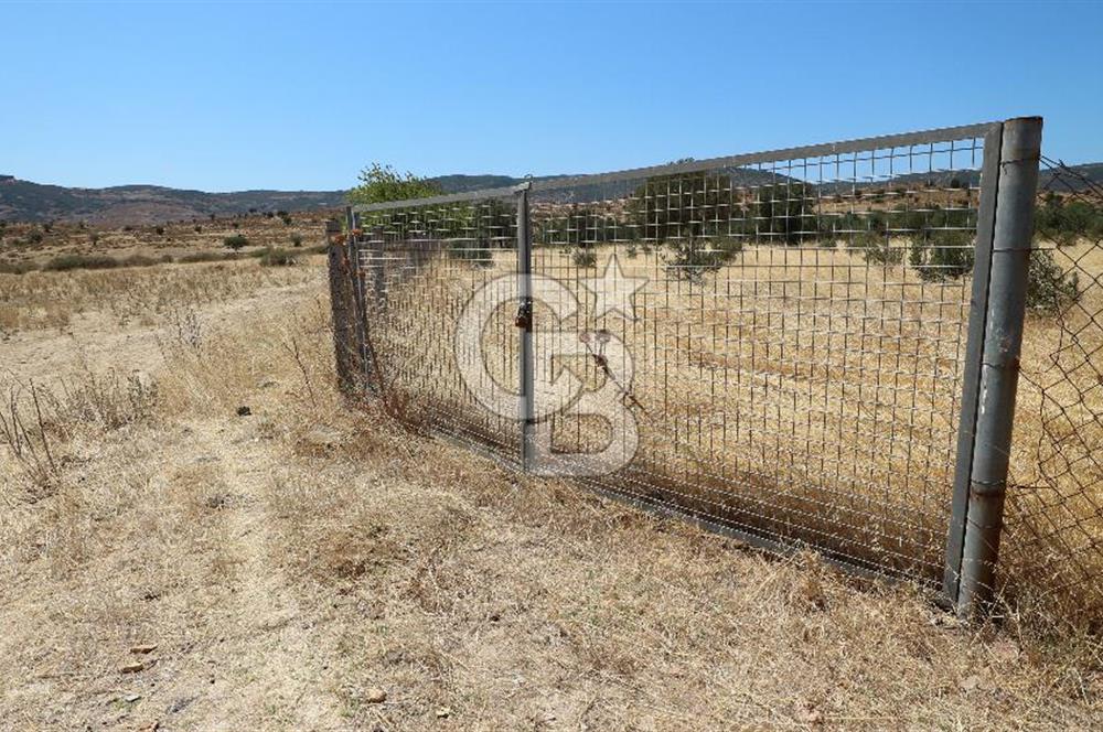 A single parcel of 7,739 m2 surrounded by land in Yeni Foça Fevzi Çakmak...