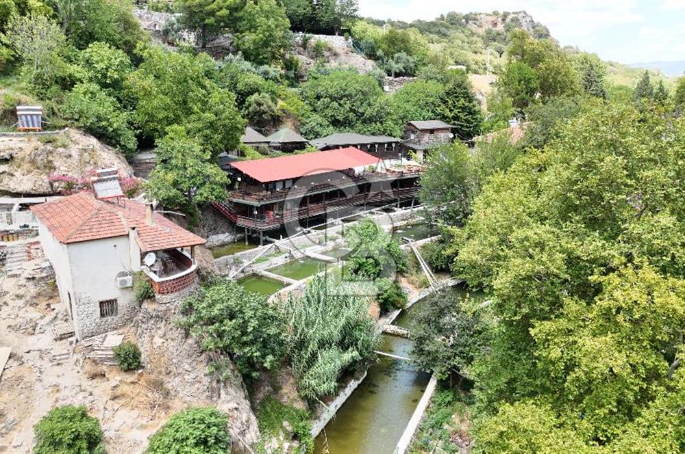 Manisa, Gürle'de Devren Kiralık Alabalık Çiftliği Restaurant 