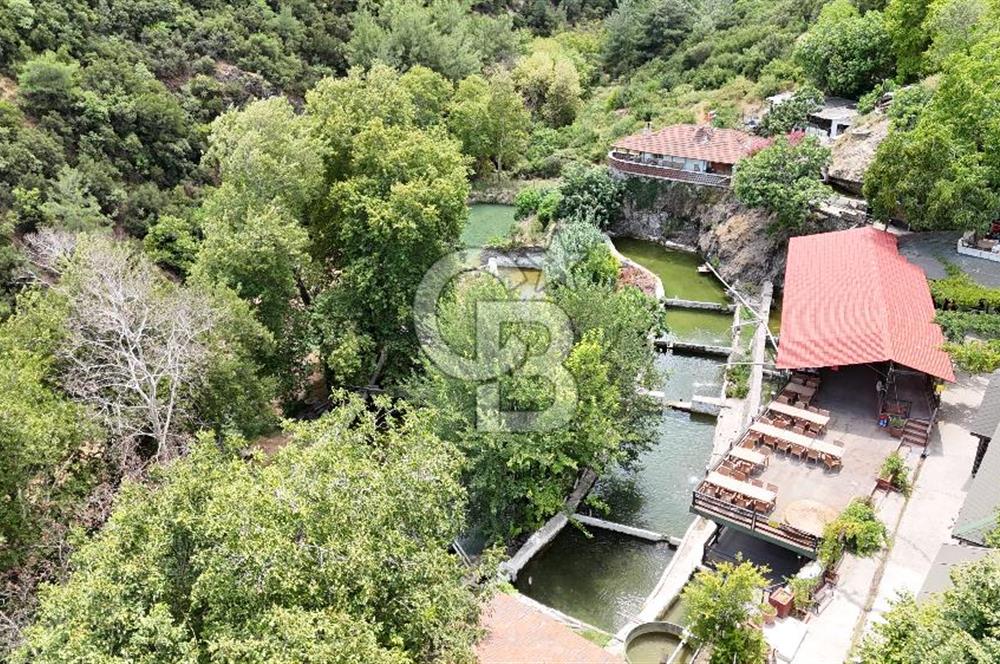 Manisa, Gürle'de Devren Kiralık Alabalık Çiftliği Restaurant 