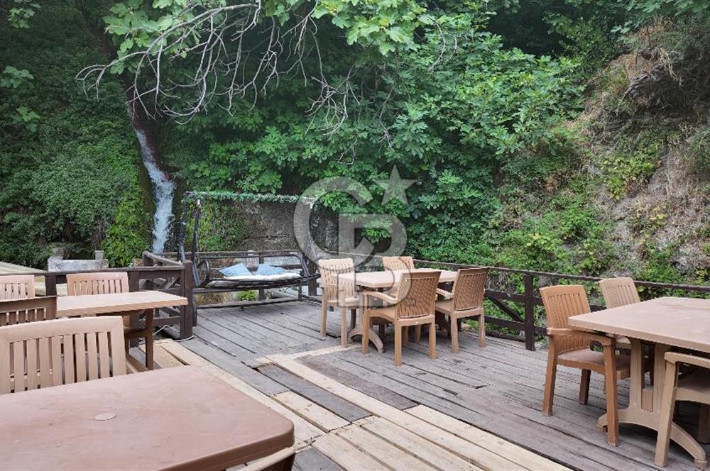 Manisa, Gürle'de Devren Kiralık Alabalık Çiftliği Restaurant 