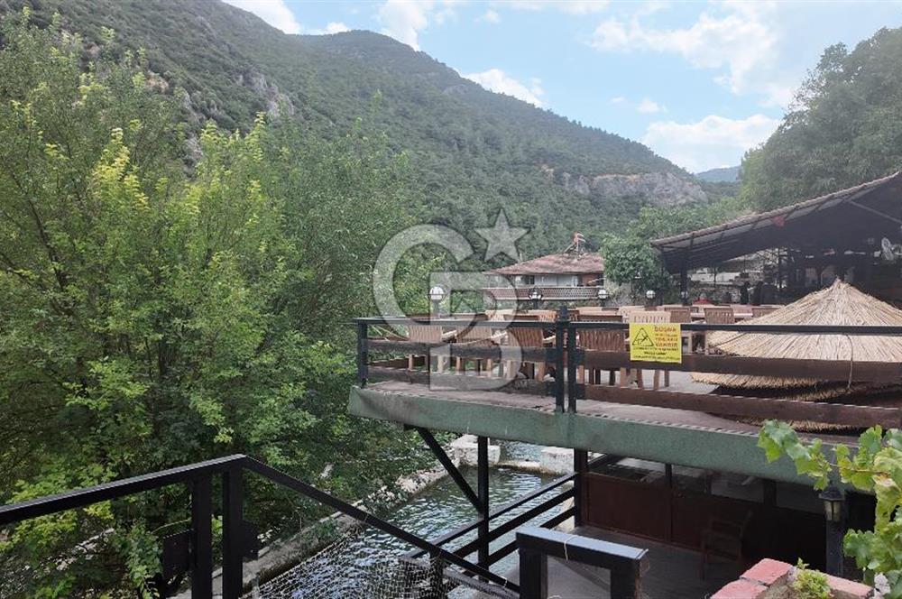 Manisa, Gürle'de Devren Kiralık Alabalık Çiftliği Restaurant 