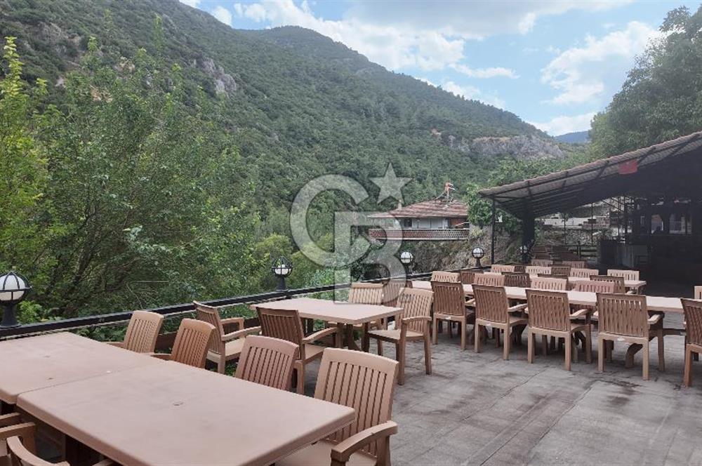 Manisa, Gürle'de Devren Kiralık Alabalık Çiftliği Restaurant 