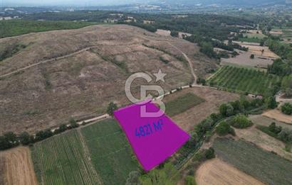 Çanakkale Yenice Karabey Köyünde Satılık 4821 M² Tarla ! 