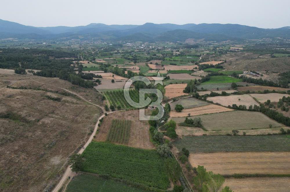 Çanakkale Yenice Karabey Köyünde Satılık 4821 M² Tarla ! 