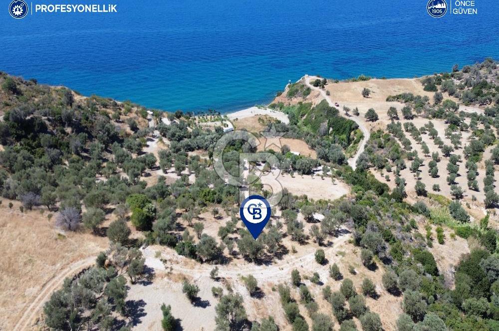 Karaburun Hasseki'de 1033 m2 Fırsat Arazi