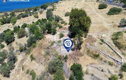 Karaburun Tepeboz'da Tiny House Konumuna Uygun Bahçe