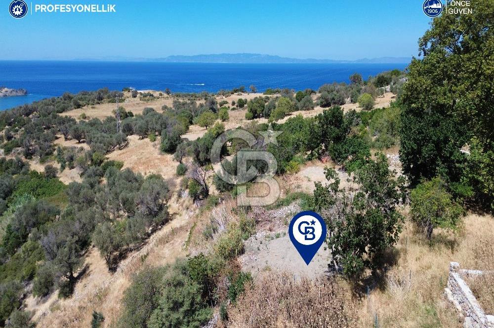 Karaburun Tepeboz'da Tiny House Konumuna Uygun Bahçe